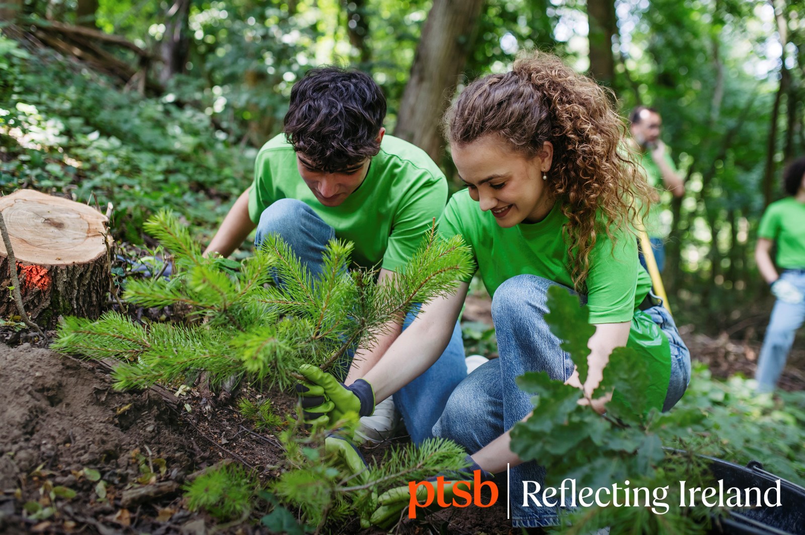 happy young people in green tshirts planting a young tree in a forest 