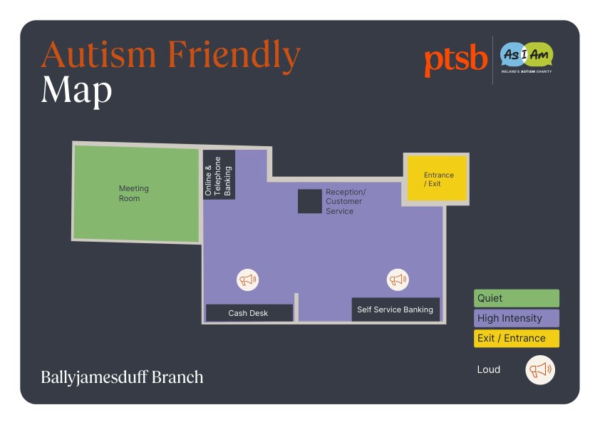 Ballyjamesduff PTSB branch sensory map