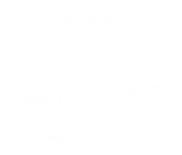 Team Ireland Olympics Logo